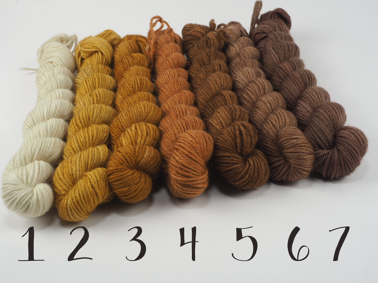 Dyed to Order - Simple Sock Full Skeins
